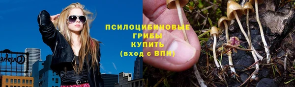 МДПВ Армянск