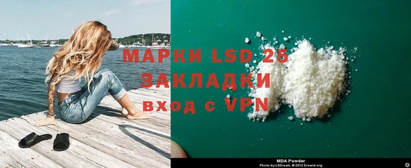 гидра Аркадак