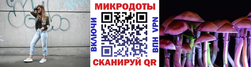 Галлюциногенные грибы MAGIC MUSHROOMS  даркнет официальный сайт  Буинск  купить  сайты 